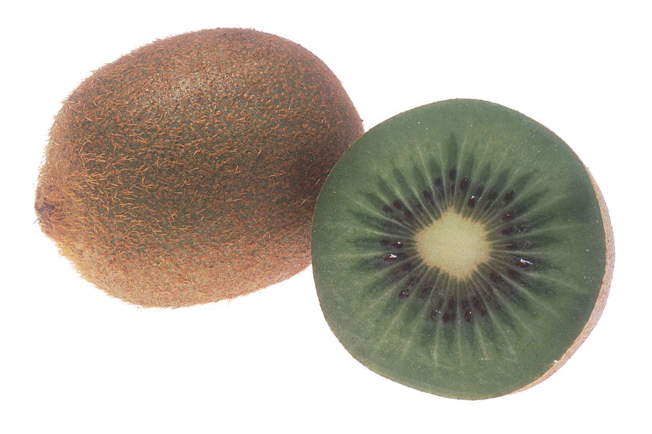 الكيوي | Kiwi