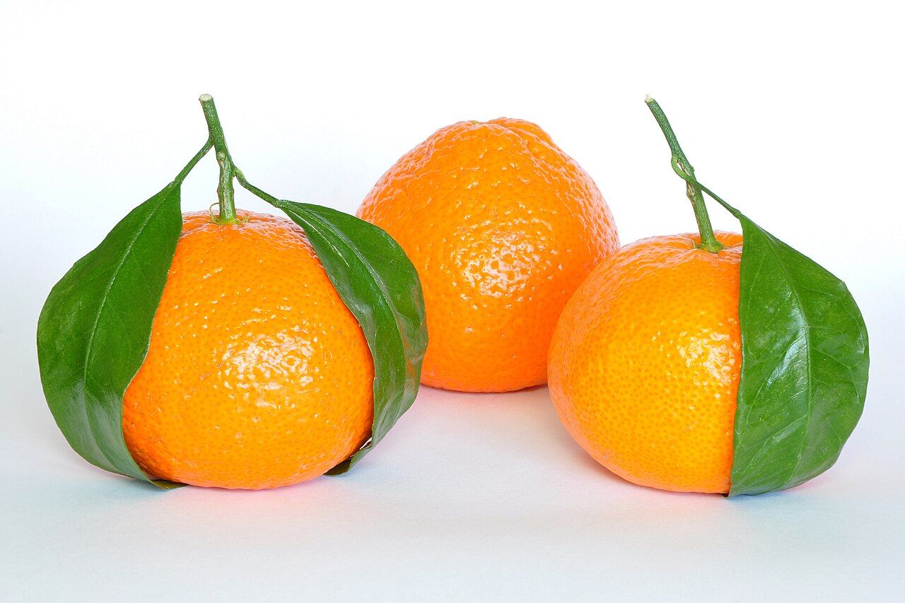 اليوسفي | Mandarin