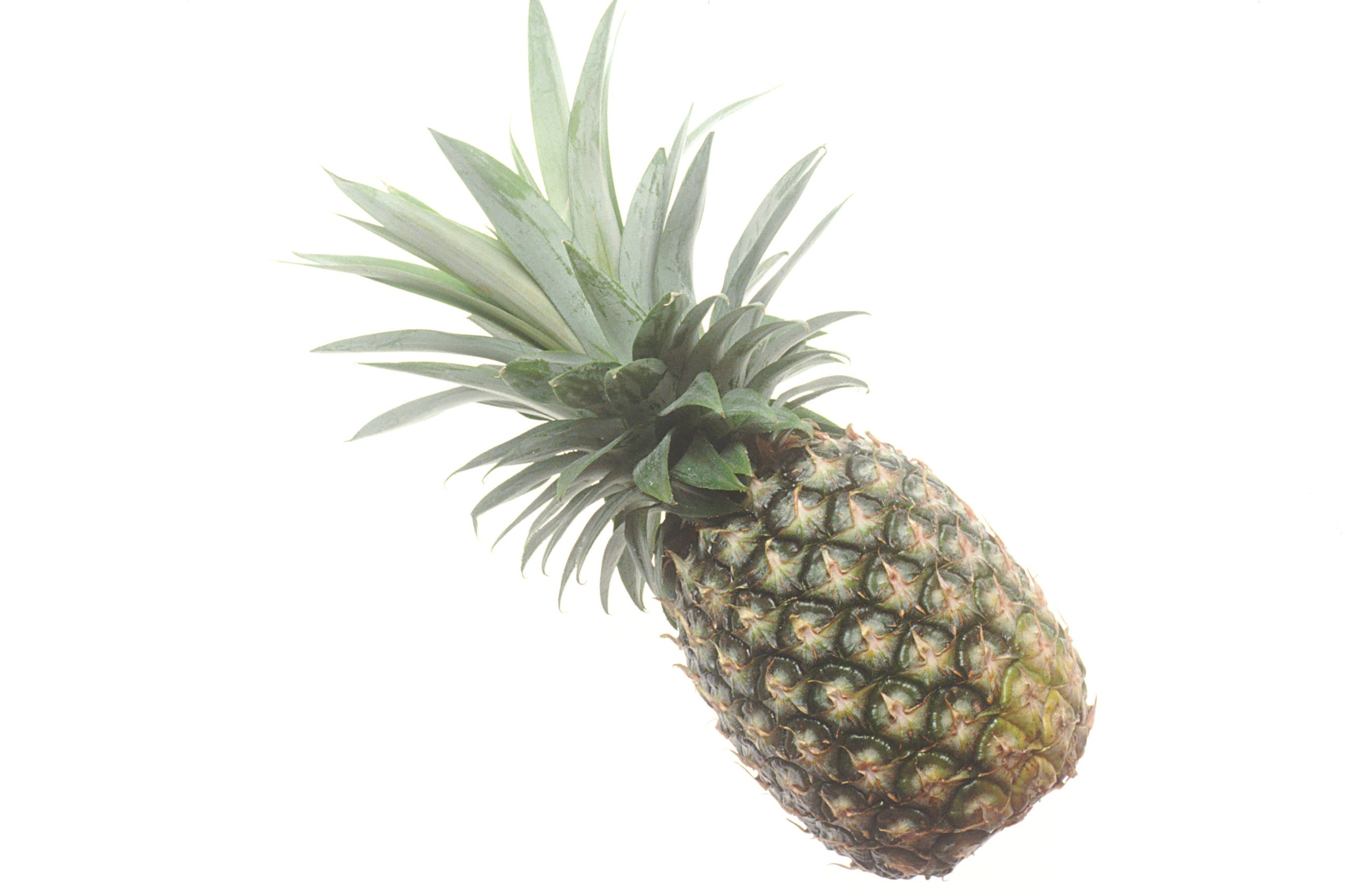 الأناناس | Pineapple