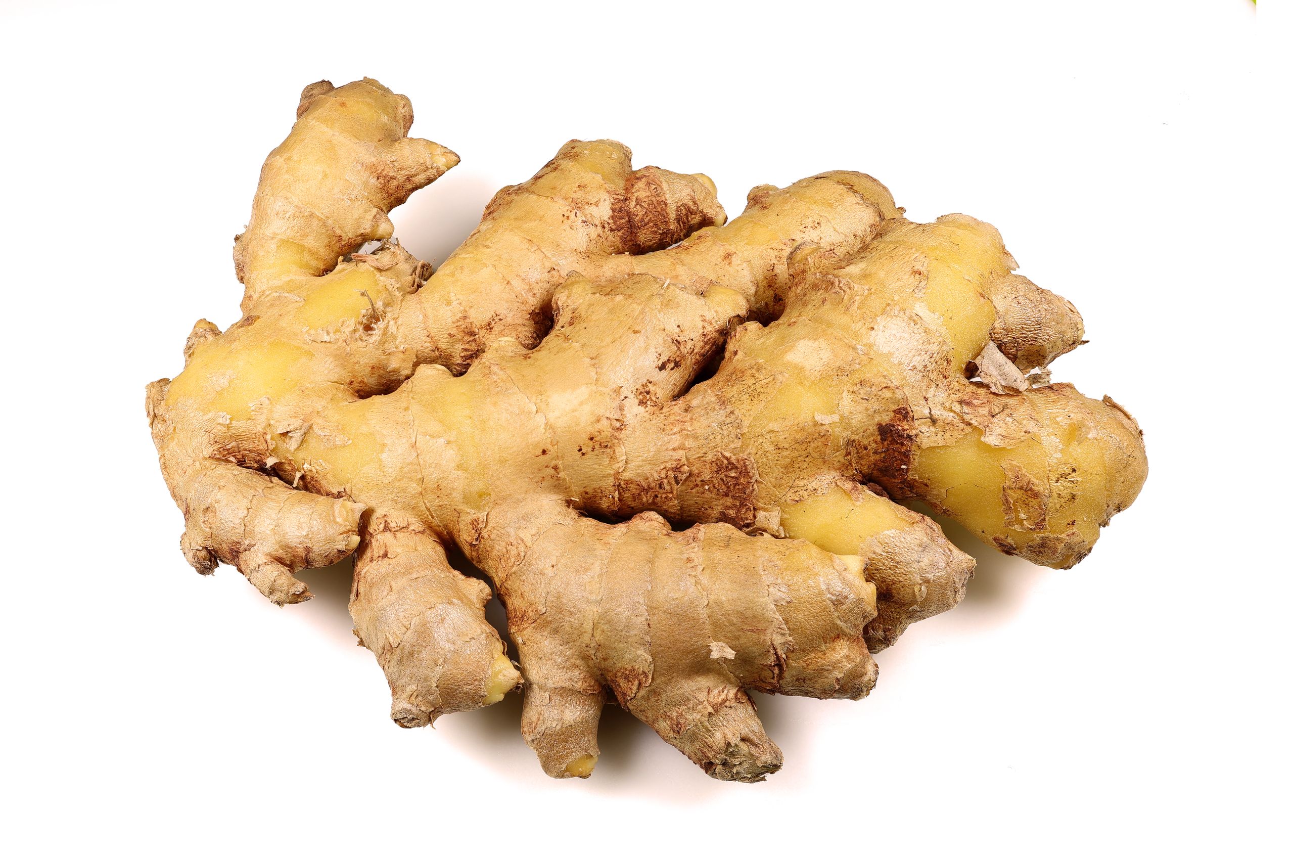 الزنجبيل | Ginger